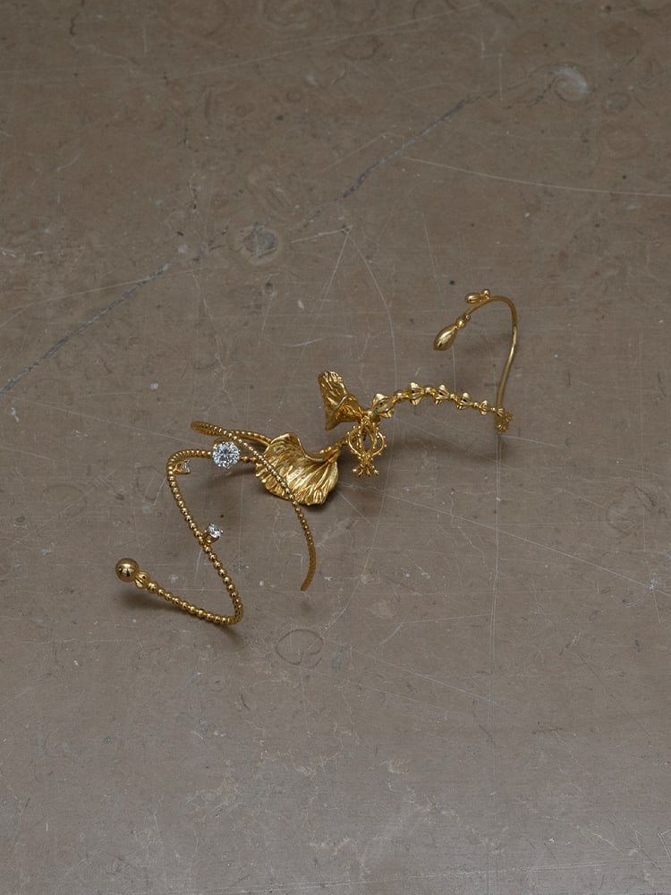 Cymbidium — lookbook